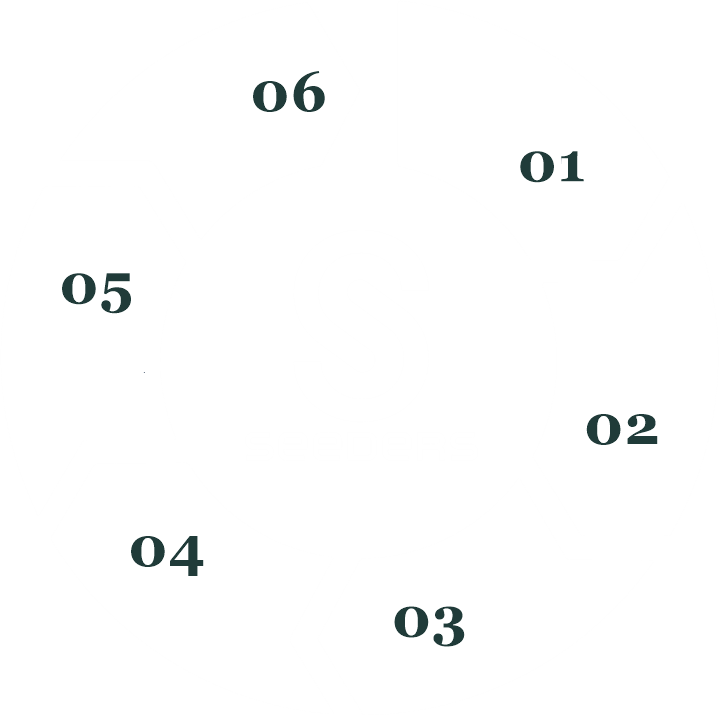 Seeders API continuous cycle diagram, steps numbered 01 to 06