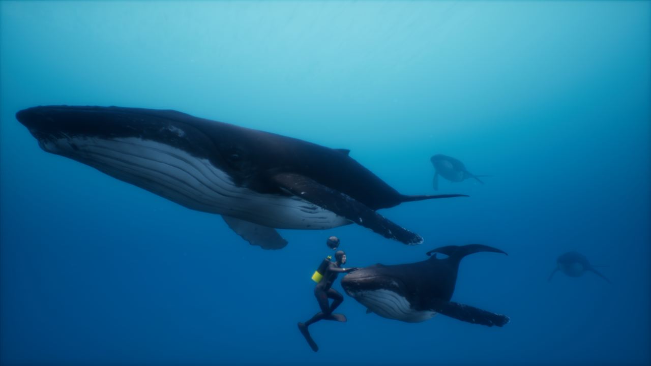 Humpback whales swimming beside a diver