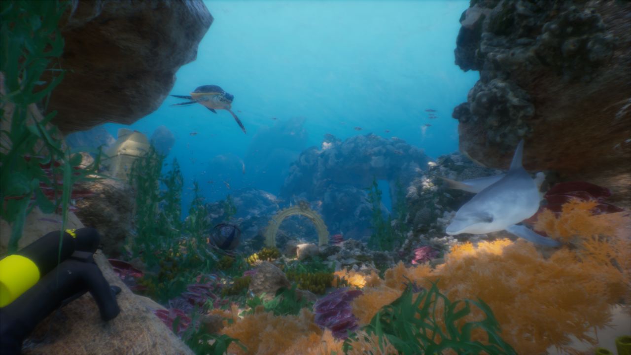 Colourful coral reef with sharks and tropical fish